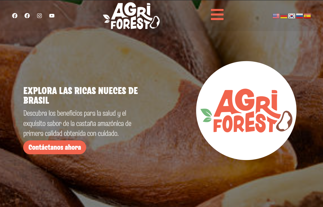 Castaña Amazónica archivos - Agricolas y Forestales Perú